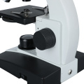 Microscope biologique WF10X incliné monoculaire