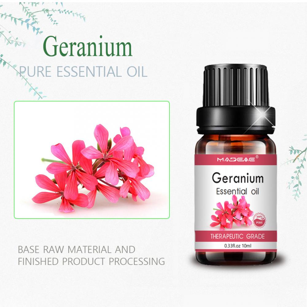 روغن Geranium ماساژ پوست اسانس اسانس پوست