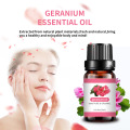 100% Natural Pure Geranium Essential Oil