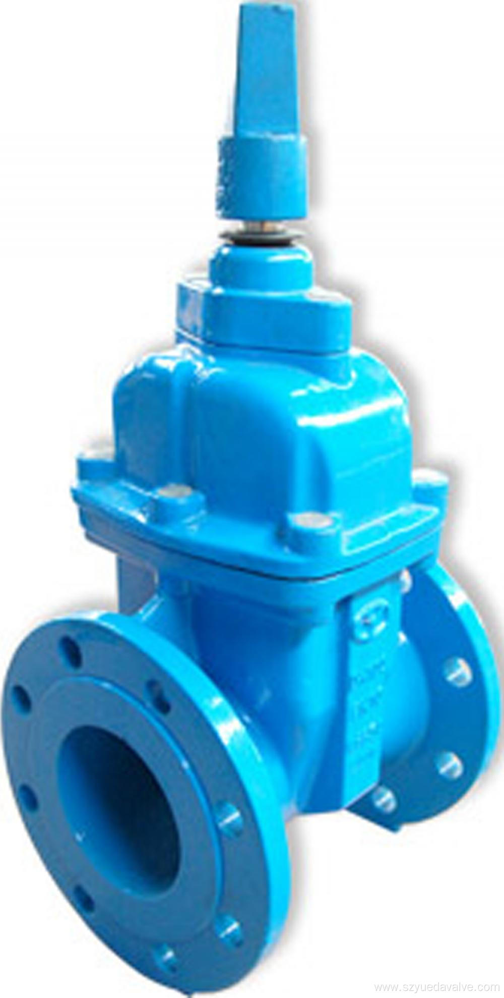 Double flanged gate valve