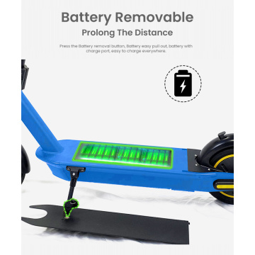 Wholesale Sharing rental electric scooters adult