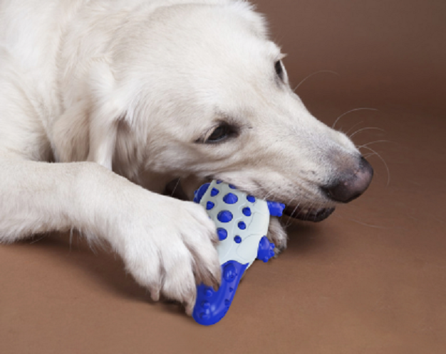 Dog Grinding Toys Crocodile Details 3