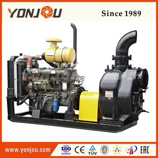 Long life high effiency 5hp 10hp diesel engine water pump set