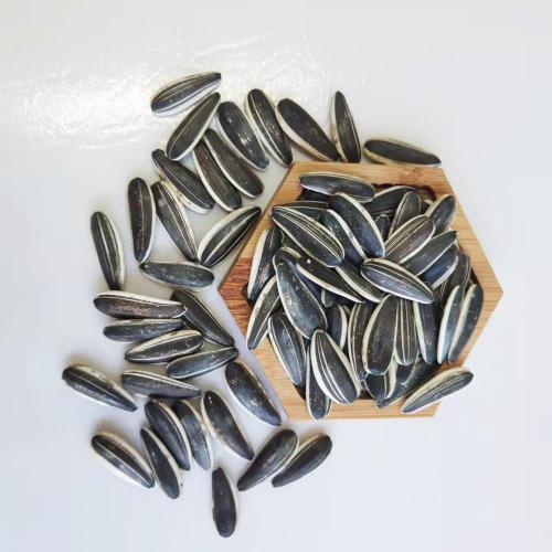 Black and White Stripes Sunflower Seeds For Nuts