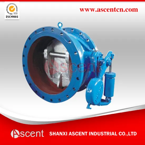Butterfly Check Valve Made in China