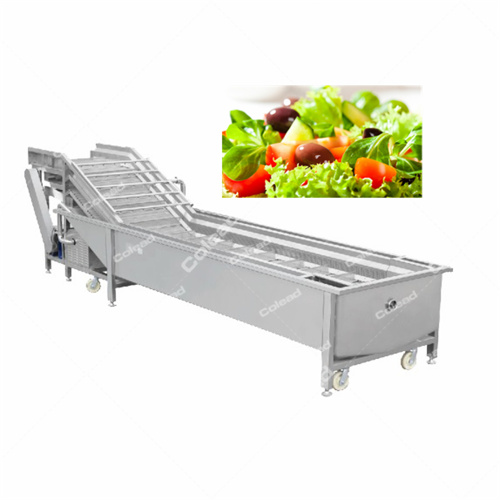 Fresh Cut Vegetables Bubble Washing Machine for salad