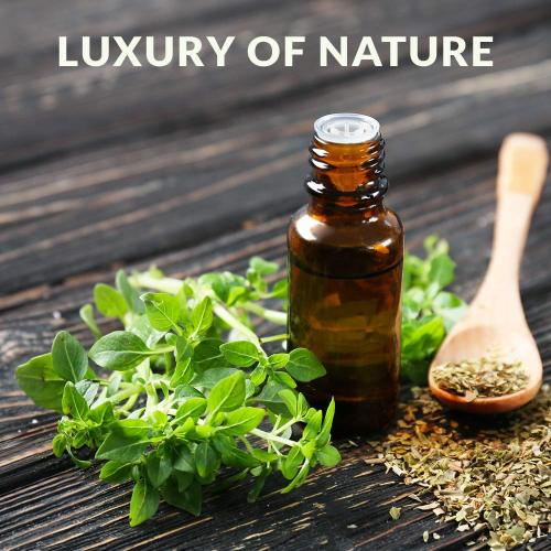 Factory sell 100% Pure Natural Oregano Oil Wholesale