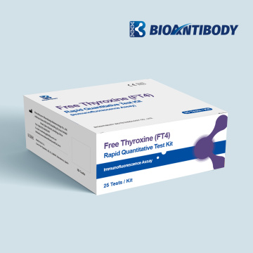 Free Thyroxine Quantitative Rapid Test Kit Using Immunofluorescence Assay