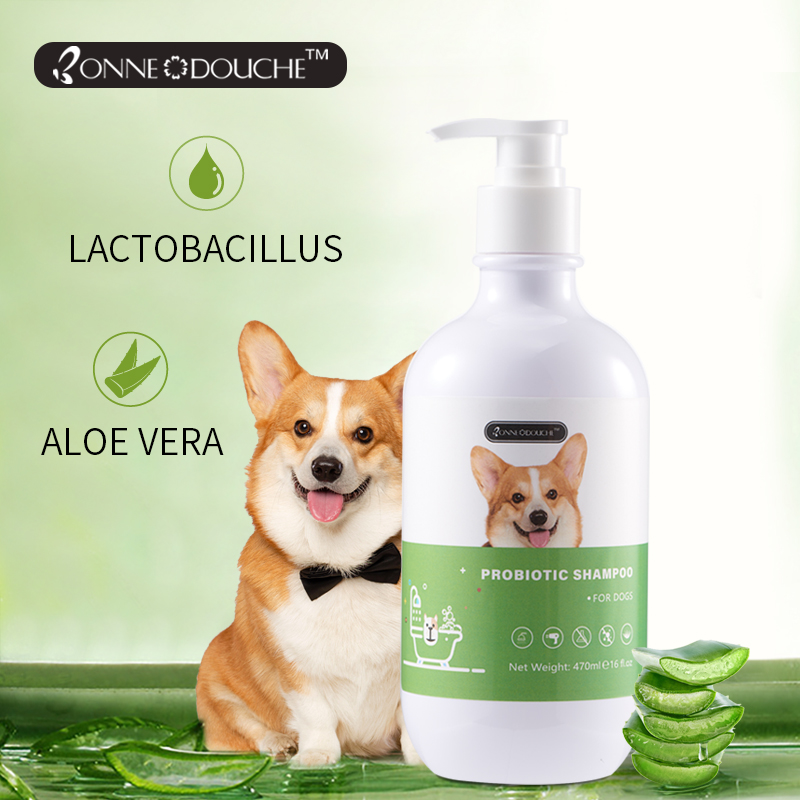 Shampoo de probióticos para animais de estimação para cachorros, umidade, cabelo, tintura segura anti-caspa formulado na Itália