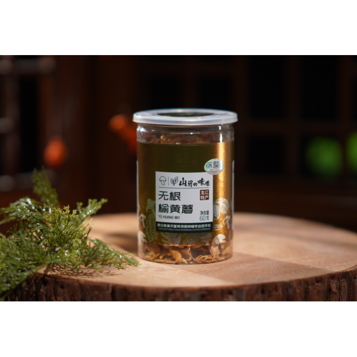 Cogumelo Amarelo Seco de Olmo