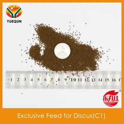Wholesale Exclusive Feed for Discus C1
