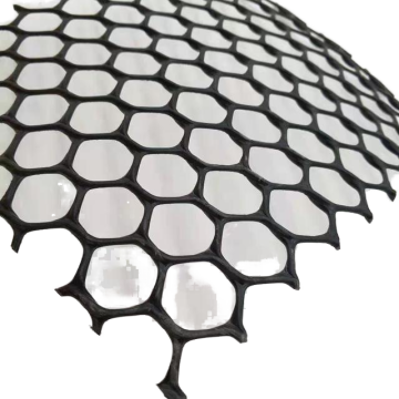 HDPE Plastic Geonet for Road Reinforcement and Soil Erosion Control
