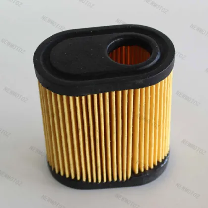 Air Filter ecumseh 36905 Toro / Craftsman