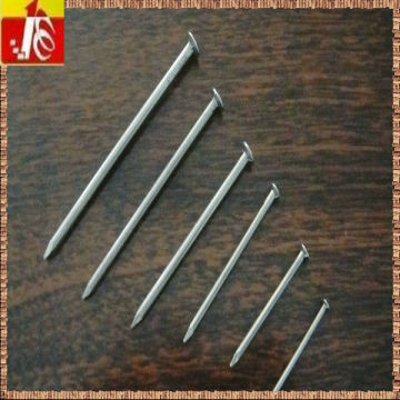 Top selling products 2016 smooth wire iron common nails