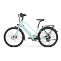 Heckmotor Urban E Fahrrad