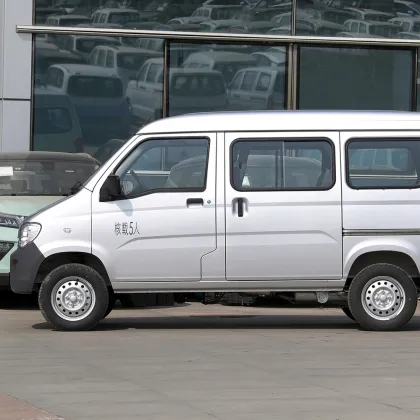 Wulingzhiguang classic wealth-making car