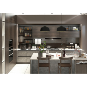 New Professional Designs Kitchen Cabinets