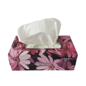 Box Facial Tissues 2 Ply