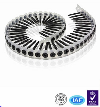 Collated Screws, Collated Drywall Screws