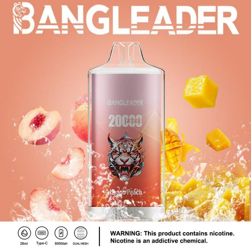 Wholesale Bang 20000 Puffs Disposable Vape Poland Warehouse