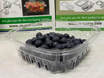 Popular Sale Plastic Blueberry Tub