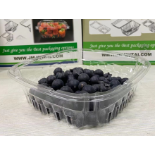 Popular Sale Plastic Blueberry Tub