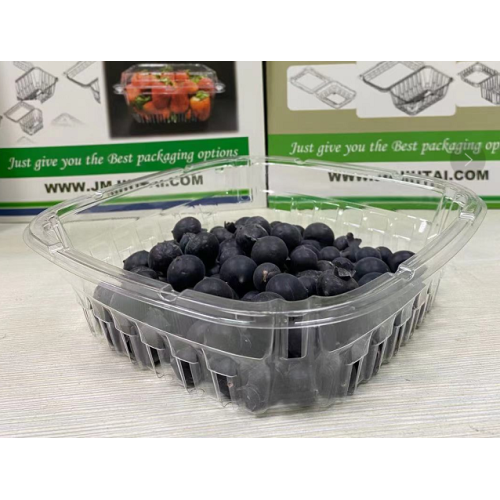 Bak blueberry transparan paistic ringan