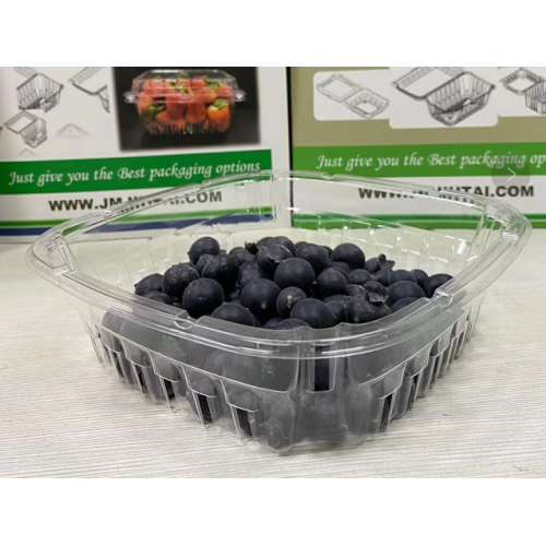 Bak blueberry tidak beracun dan aman