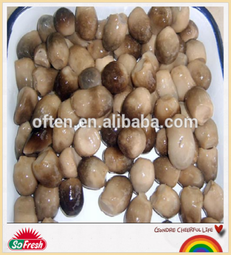 mushroom specification fresh whole straw mushroom