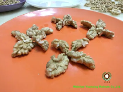 Kids` favourite snack Chinese Walnut Kernels