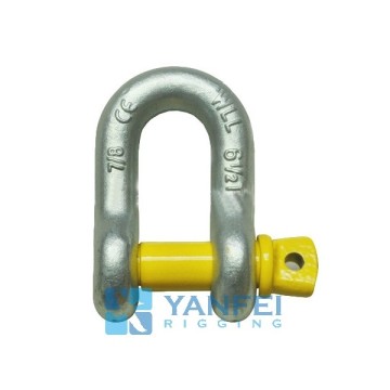 Grade S Dee Shackle With Screw Pin