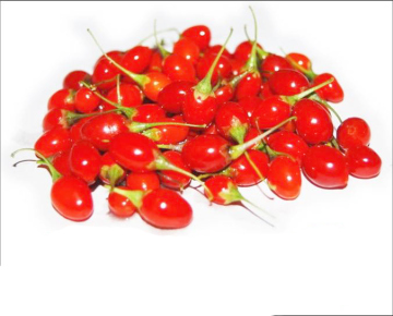 LOW-PESTICIDE GOJI BERRY FOR EU MARKET