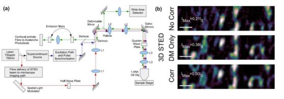 AO-STED microscope system and imaging comparison before and after AO correction