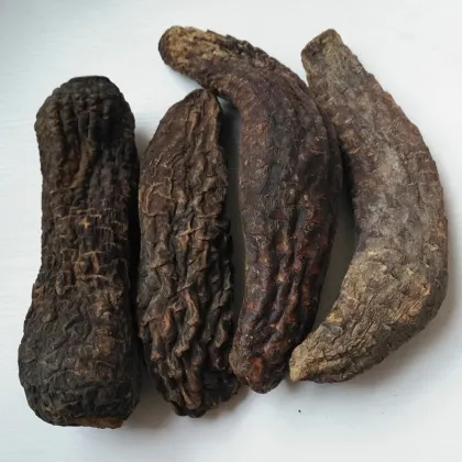 Cistanche Deserticola Extract 15% 20% Echinacoside