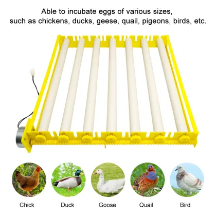 Commercial New Egg Incubator 42 Eggs Incubator with Eggs Roller Tray