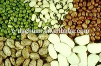 Best Selling Vertical Automatic Vegetable seeds Packaging Machine