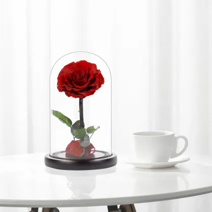 Factory Direct Wholesale: Immortal Rose Gift Boxes & Fresh Cut Flowers