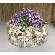 Elegante Jardim Gabion para Projeto de Paisagem