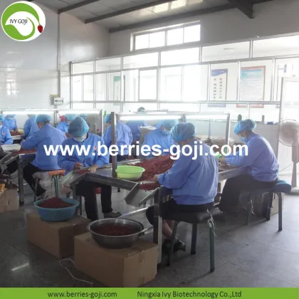 Wholesale Healthy Nutrition Wolfberry