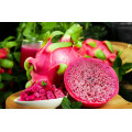 Natural Organic Freeze Dried Red Dragon Fruit Powder