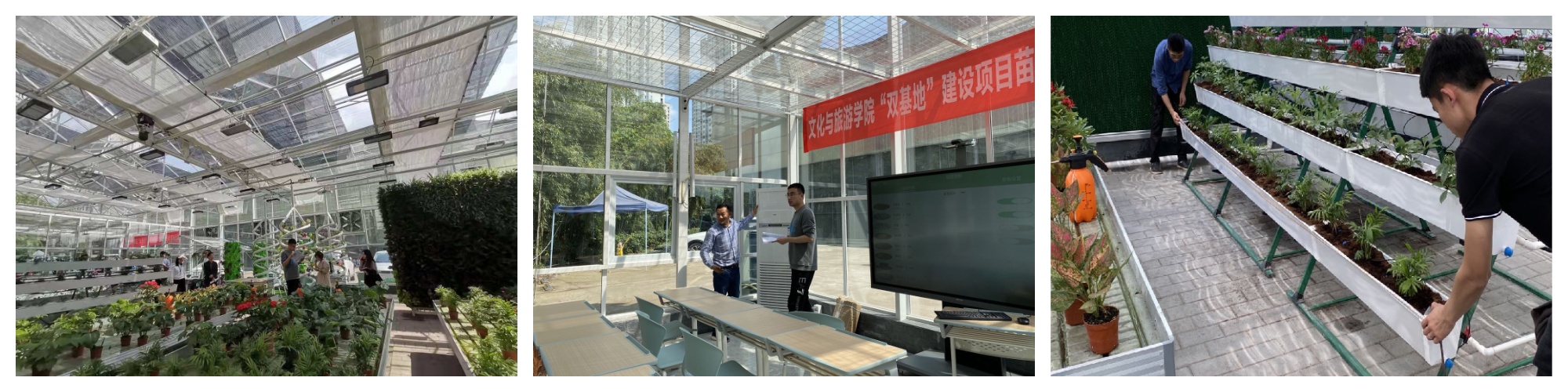 Chongqing Urban Management Vocational College, Landscape Technology Program, Nursery Stock Training Laboratory