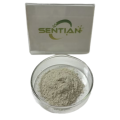 Microbial Rennet Cheese kluyveramises Chymosin Rennet