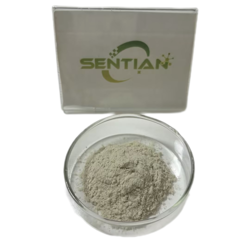 Microbial Rennet Cheese kluyveramises Chymosin Rennet