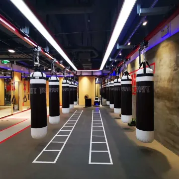 Enlio Customized PVC Flooring for Gym Purpose