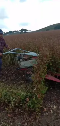 Small Wheat Harvester Grain Harvest Machine for Rice, Wheat, and Soybeans