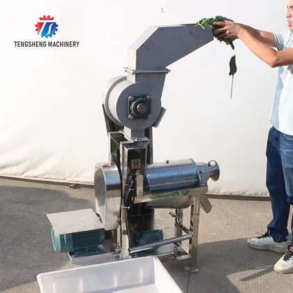 Large Commercial Slow Masticating Juicer