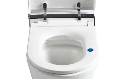 Electronic Smart Toilet With Heated Toilet Seat
