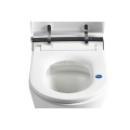 Electronic Smart Toilet With Heated Toilet Seat