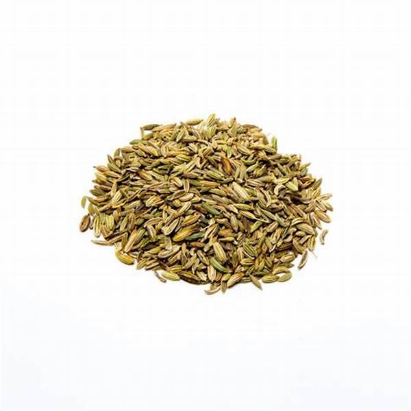 Herbal Extracts Fennel Extract Powder