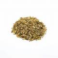 Herbal Extracts Fennel Extract Powder